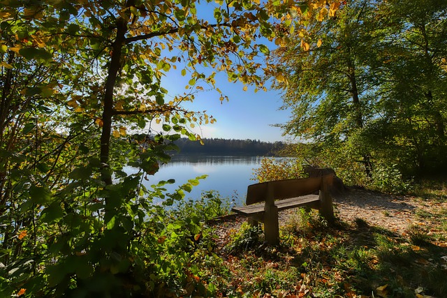 他的灵活盘 他的灵活盘