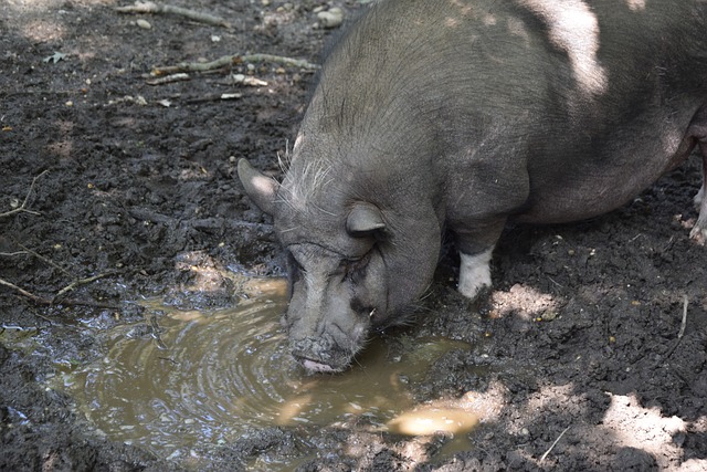 在全球足球 在全球足球
