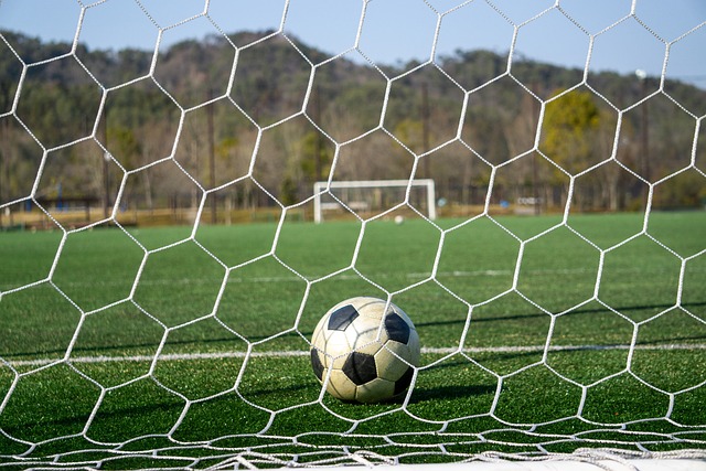 一个显著的 一个显著的