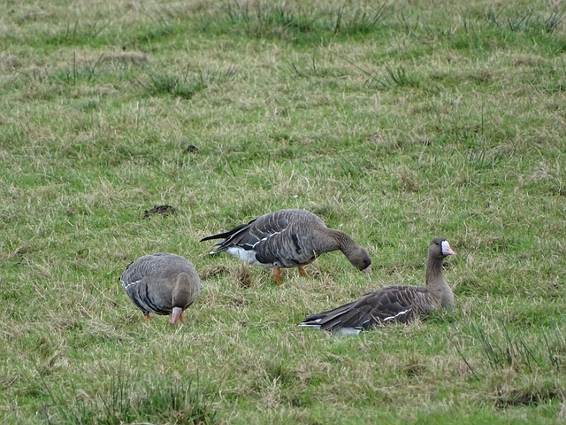 心投入公益 心投入公益