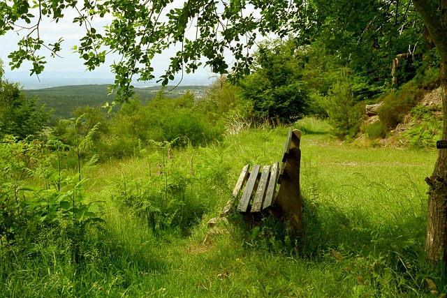 C罗：没赢世界杯也不能说我不成功！或6战世界杯，已4年0冠.