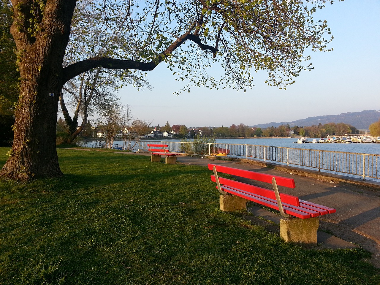 战术理念的 战术理念的